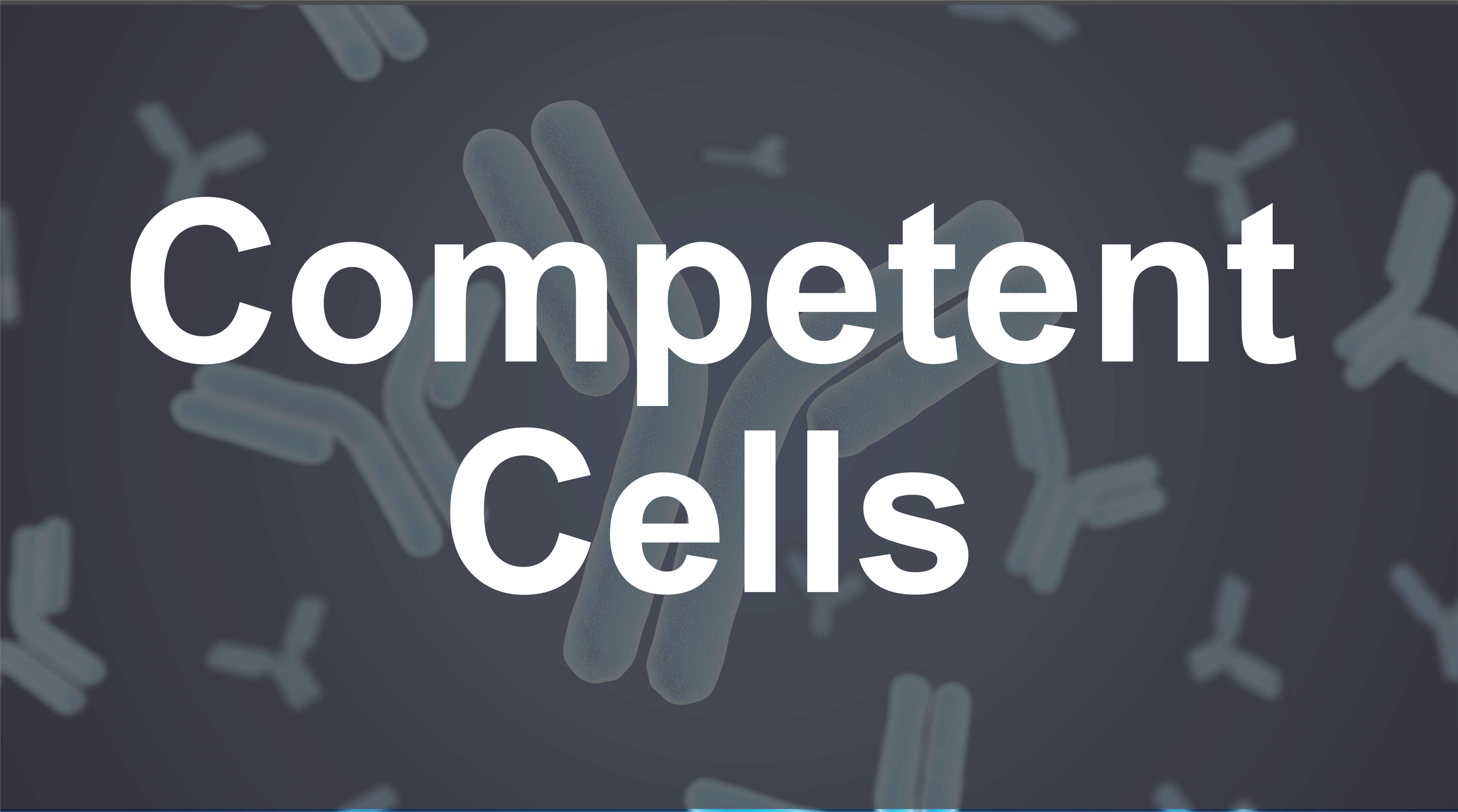 Competent Cells grid image v3
