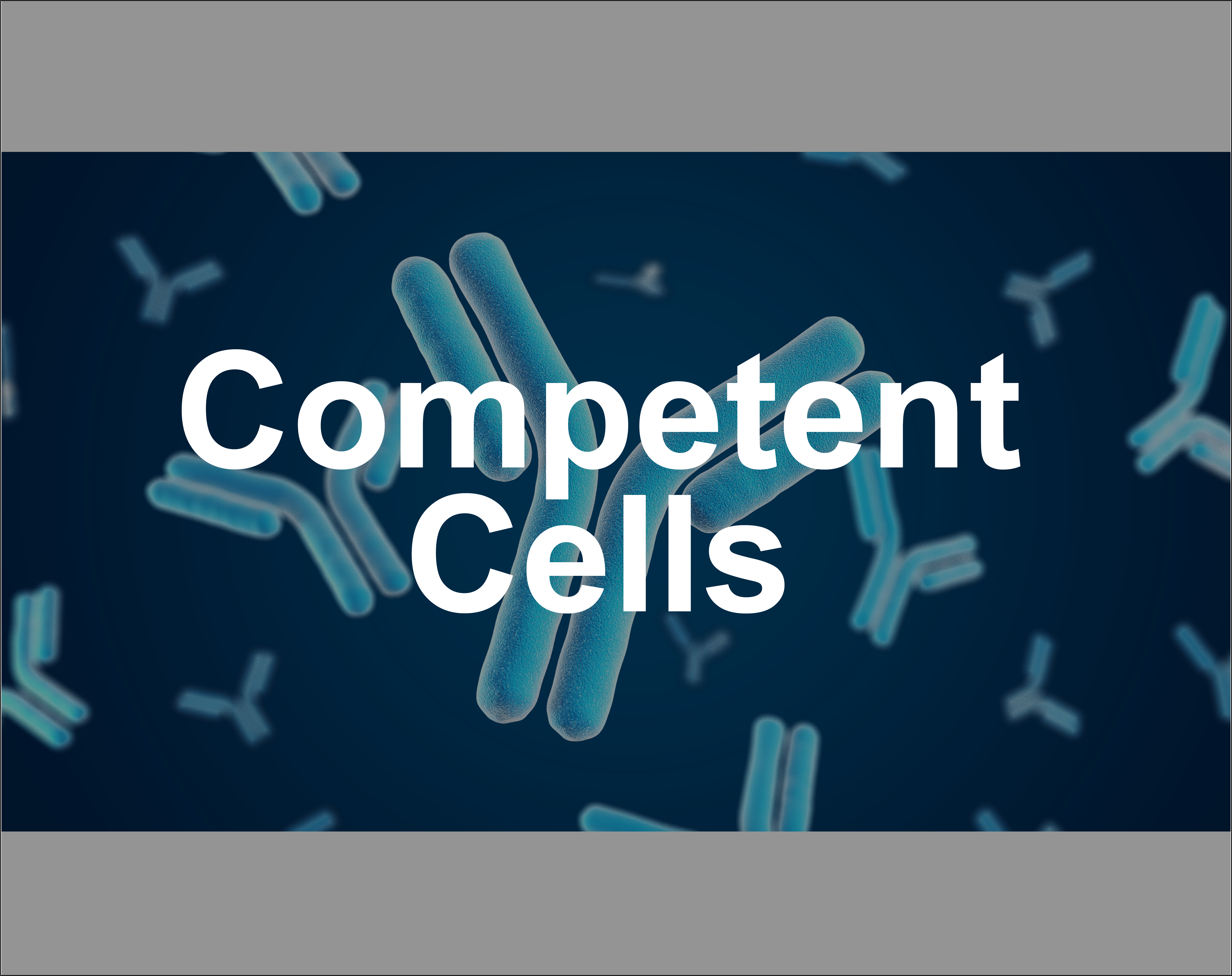 Competent cells grid image ARIAL_v2