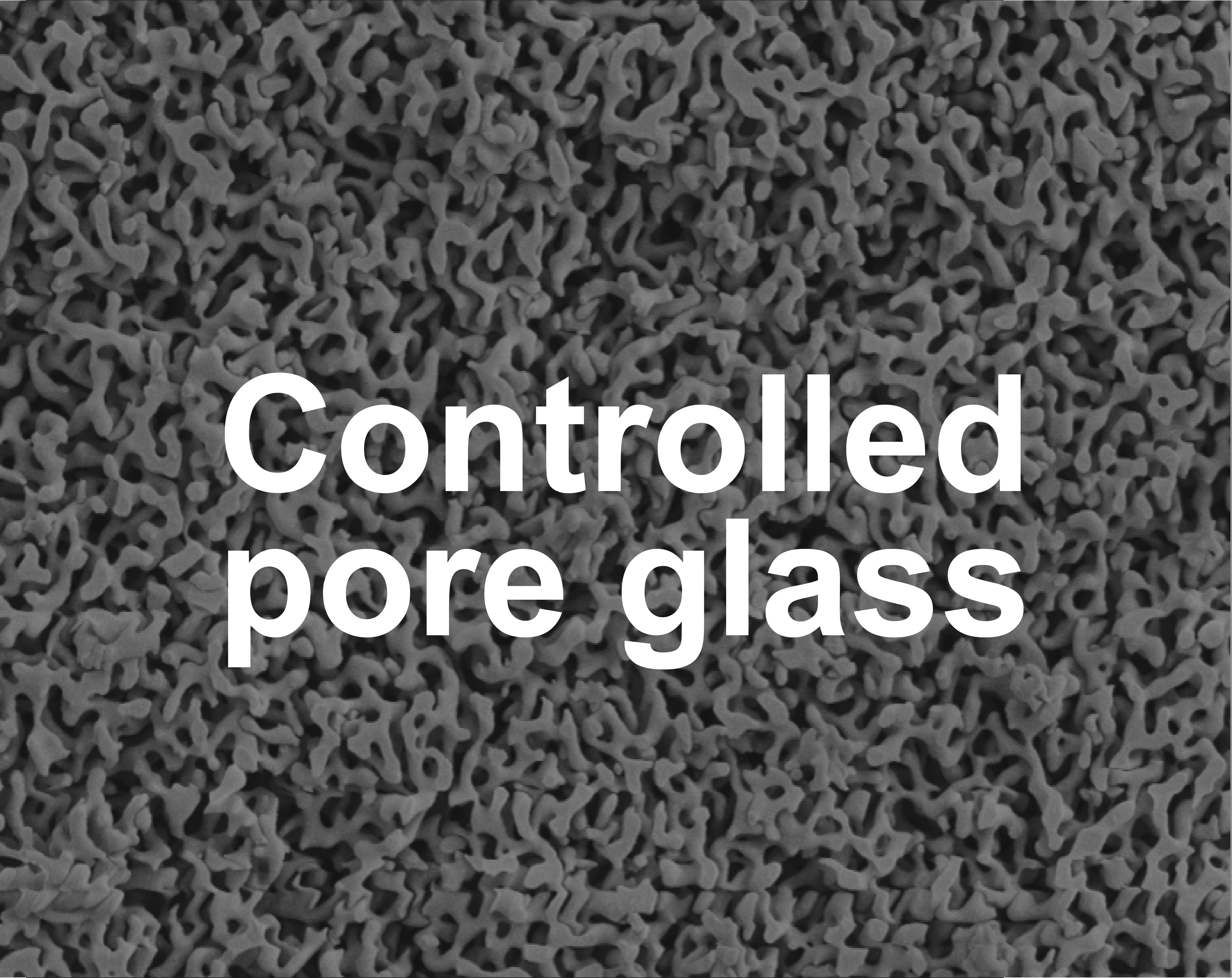 Controlled pore glass image_ARIAL_v2
