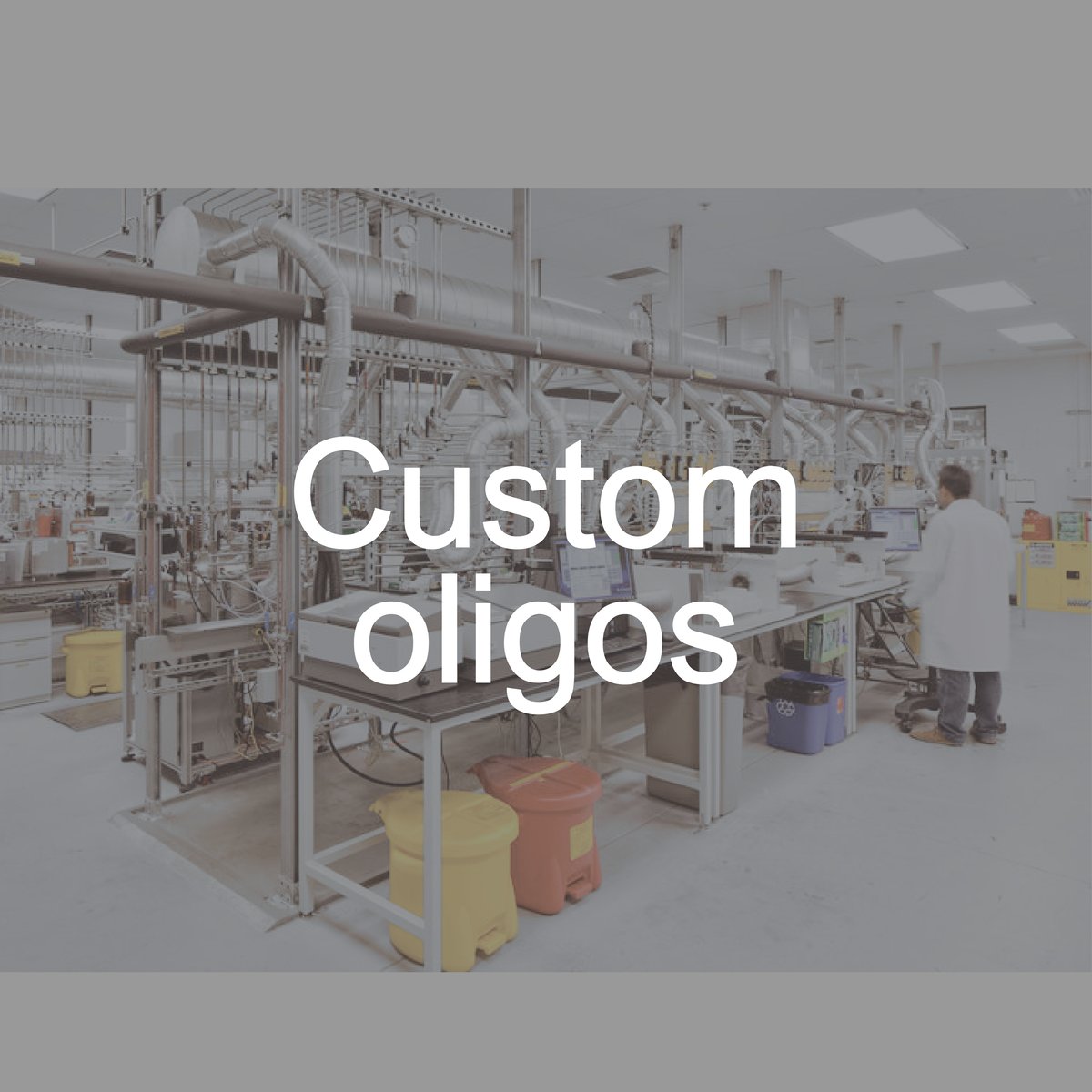 Custom oligos grid image ARIAL