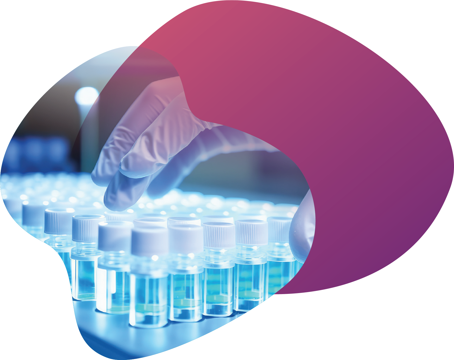 PrimeMax Landing Page banner