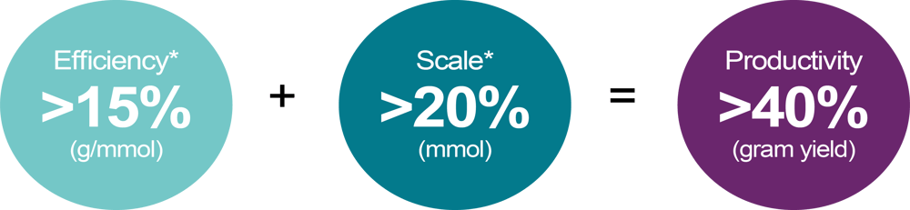 PrimeMax Productivity Increase v2