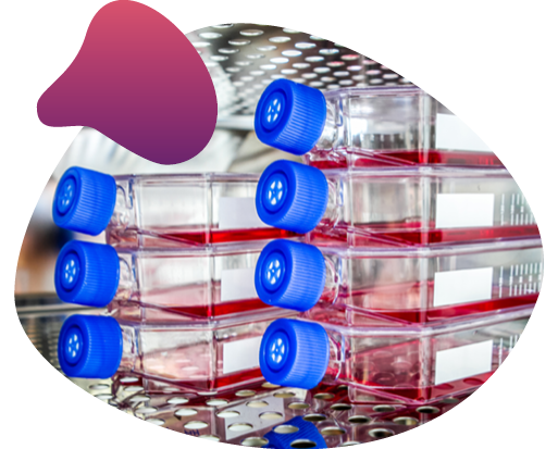 sL image Tissue Culture Flask