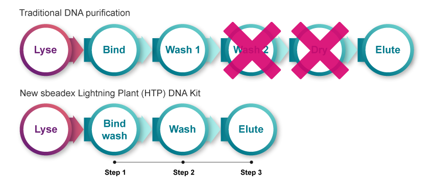 sbeadex_Lightning_Plant-DNA-workflow_corrected