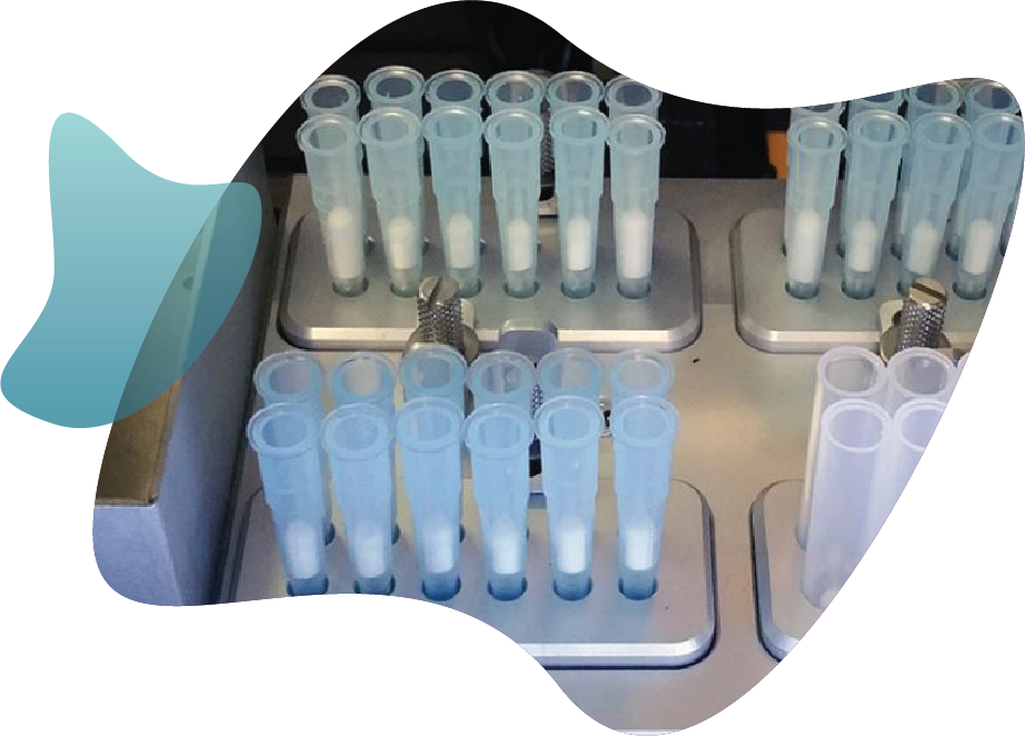 Custom PrimeMax Image