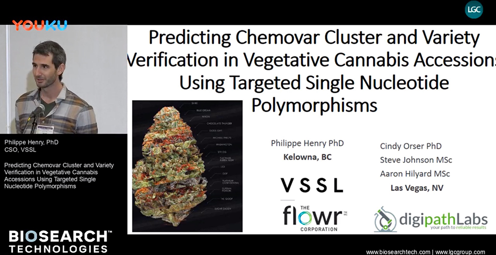 Cannabis sequencing video snapshot