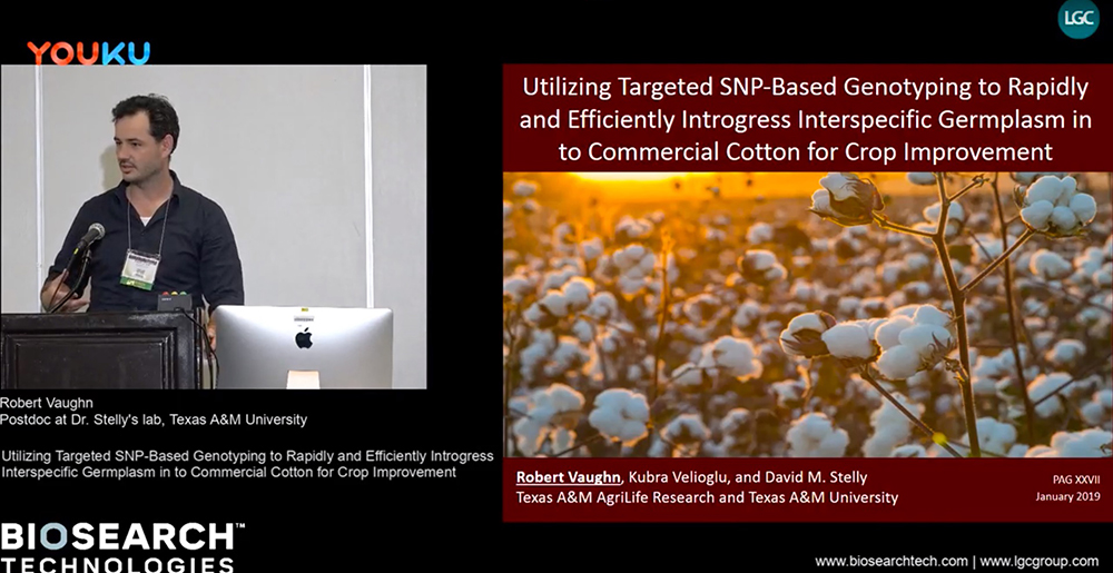KASP in cotton videp snapshot