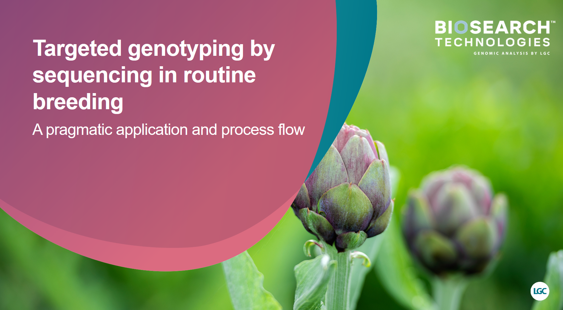 Targeted genotyping by sequencing in routine breeding a pragmatic application and process flow