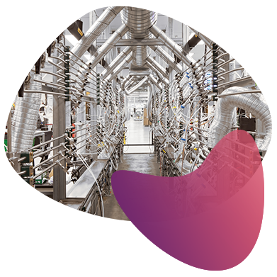 MGB_launch_no_shopping_cart_v2